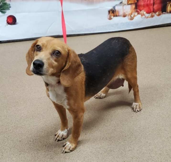 Photo of Ms. Holiday*