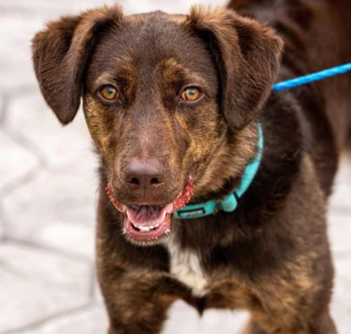 Photo of Lil Man *SN*VIP*