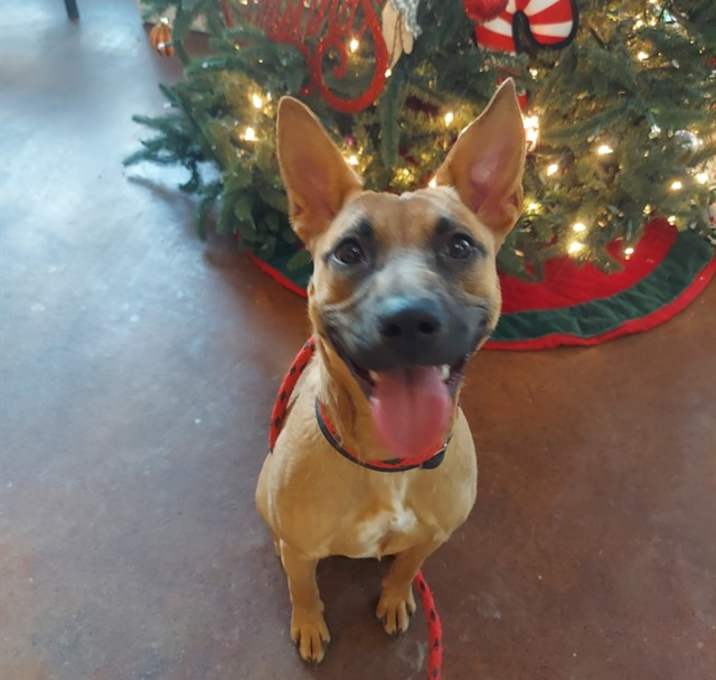 Photo of FONDA GRITS