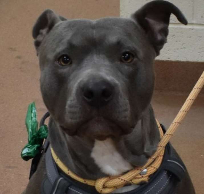 Photo of 92164 Uncle Iroh