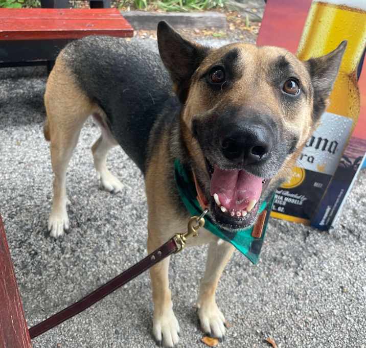 Photo of Stormie/Tommy