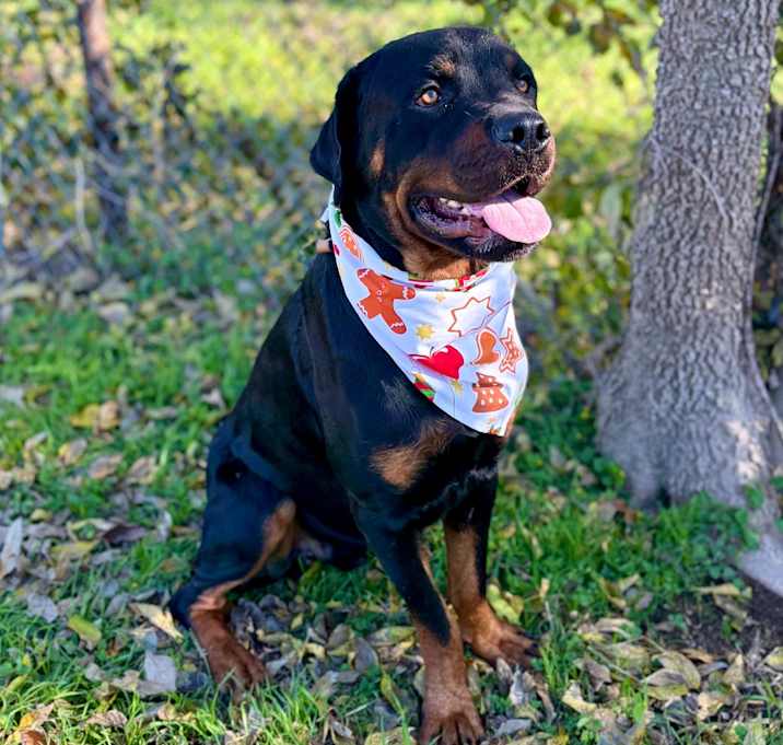 Photo of Kevin 25-12-049