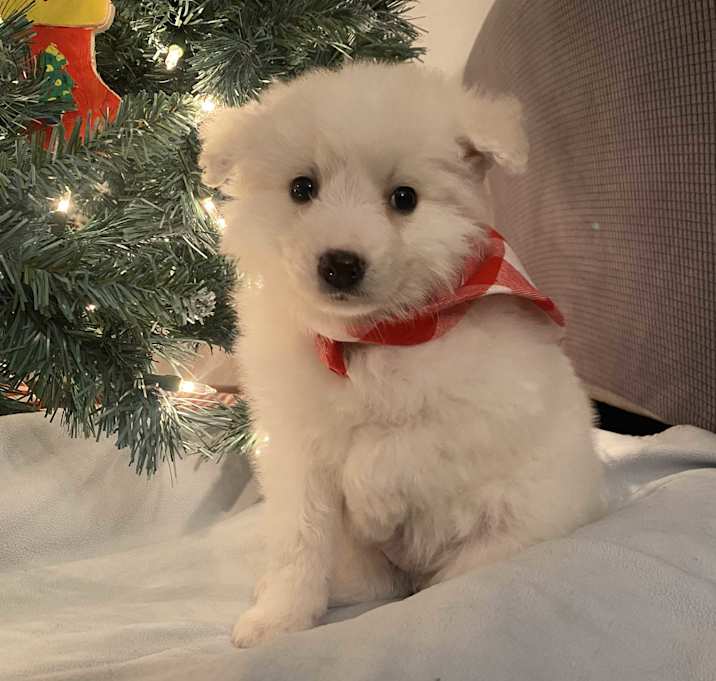 Photo of Peter and Lucy