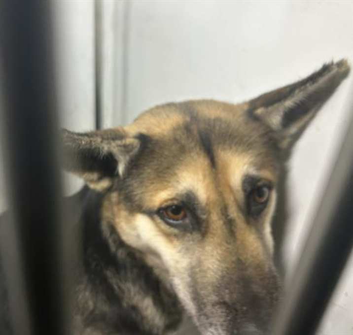 Photo of *NORMA JEAN