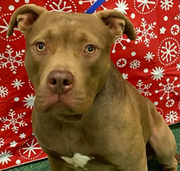 Photo of Harrington K114 12/23/25