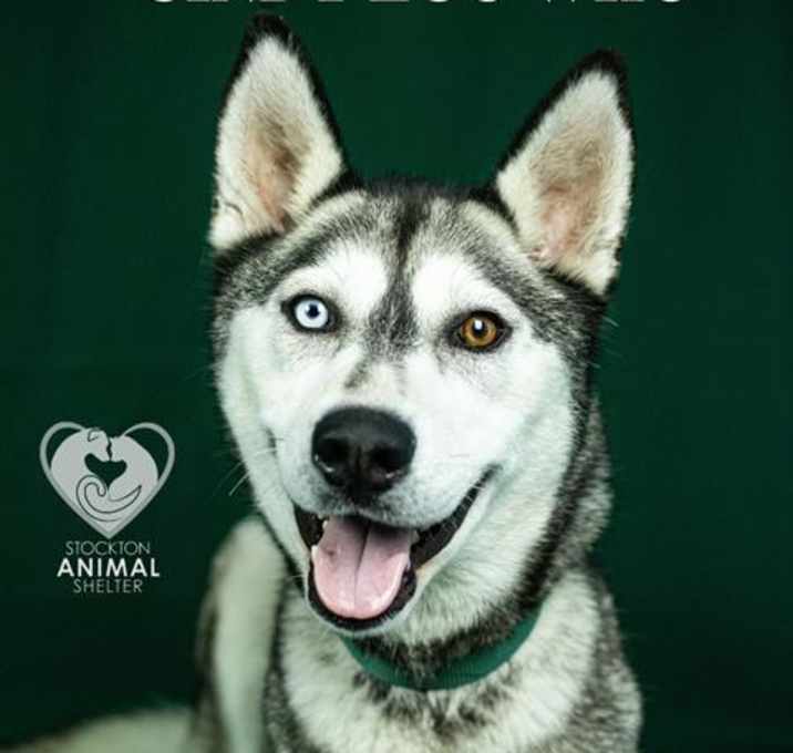 Photo of CINDY LOU WHO