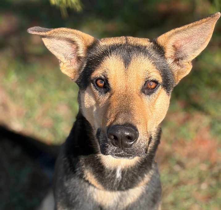 Photo of WOJO 25-12-050