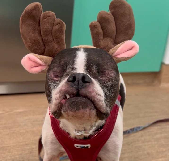 Photo of Mai Tai 13031