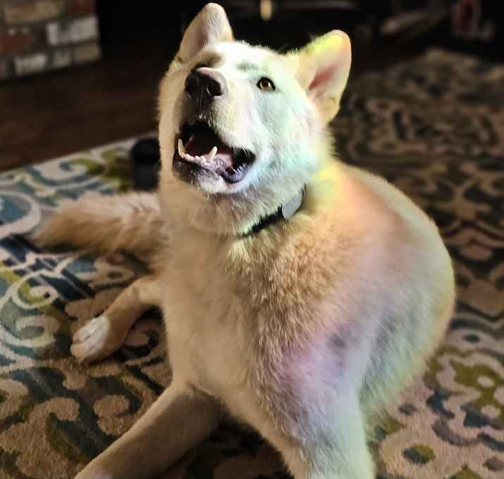 Photo of Ghost