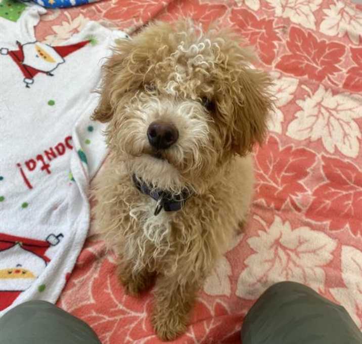 Photo of RAMEN NOODLE