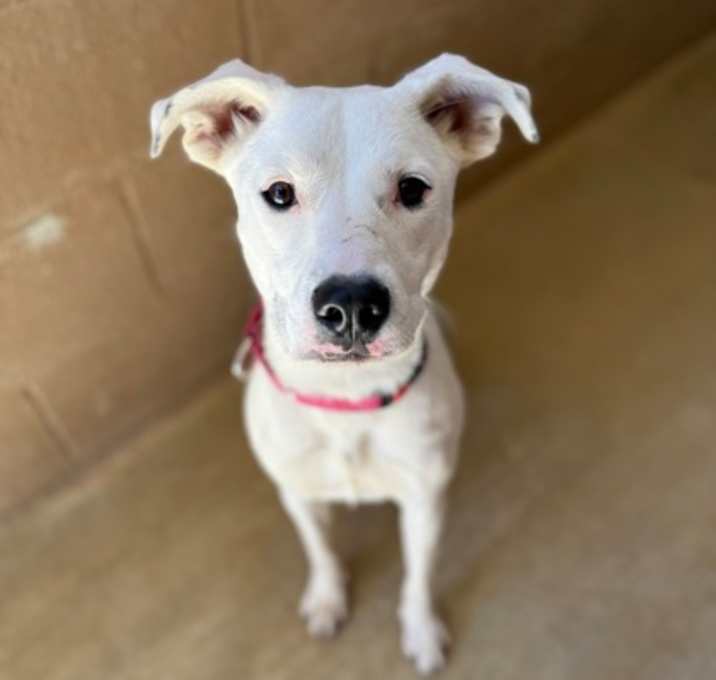 Photo of Alina 6-14-25