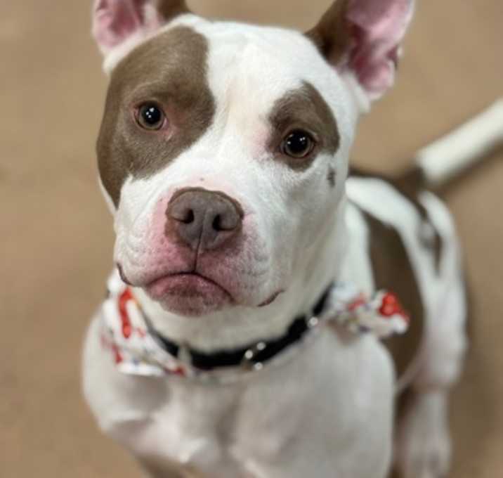 Photo of Dimitri fka Slurpee