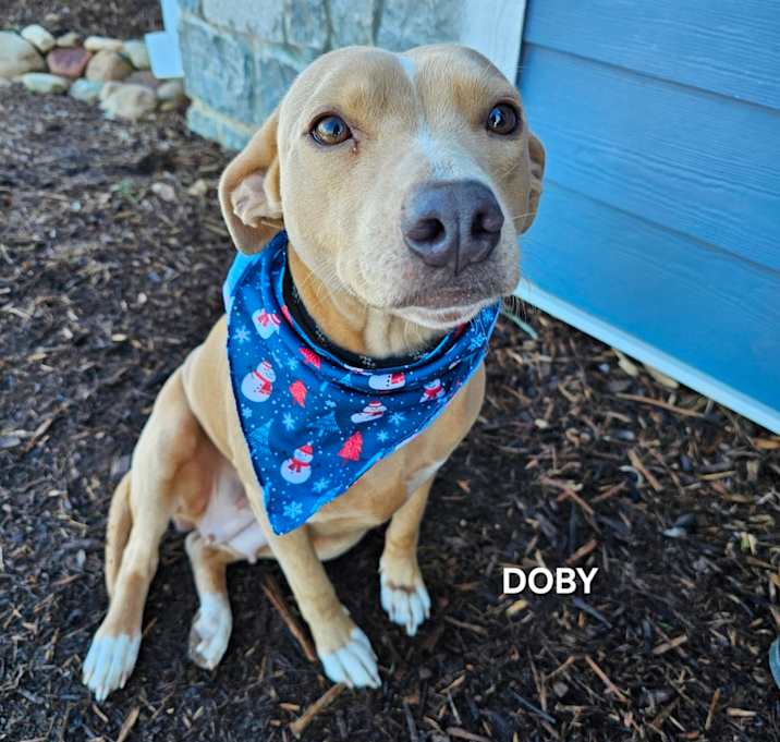 Photo of Doby