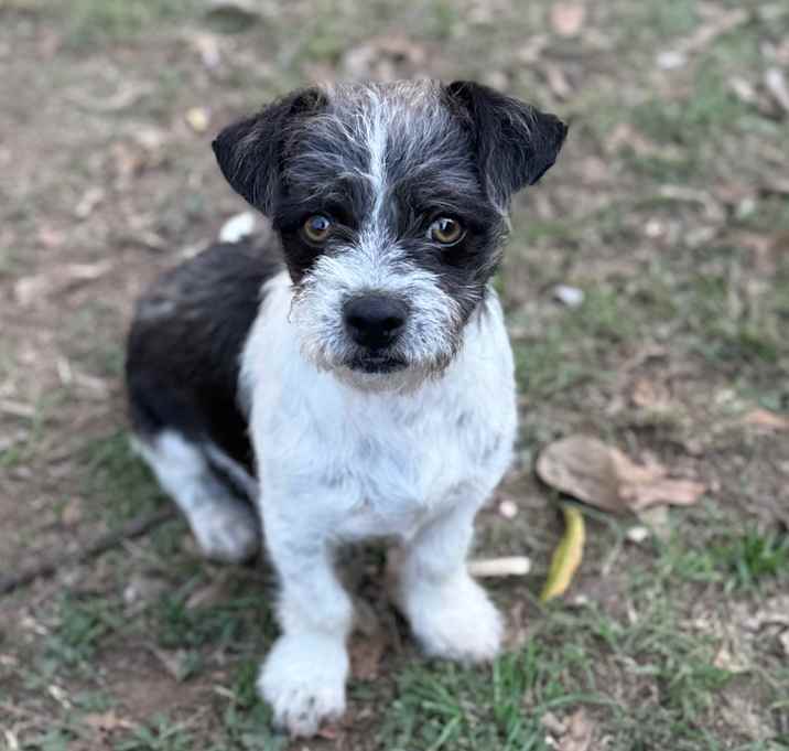 Photo of TEX 25-12-065