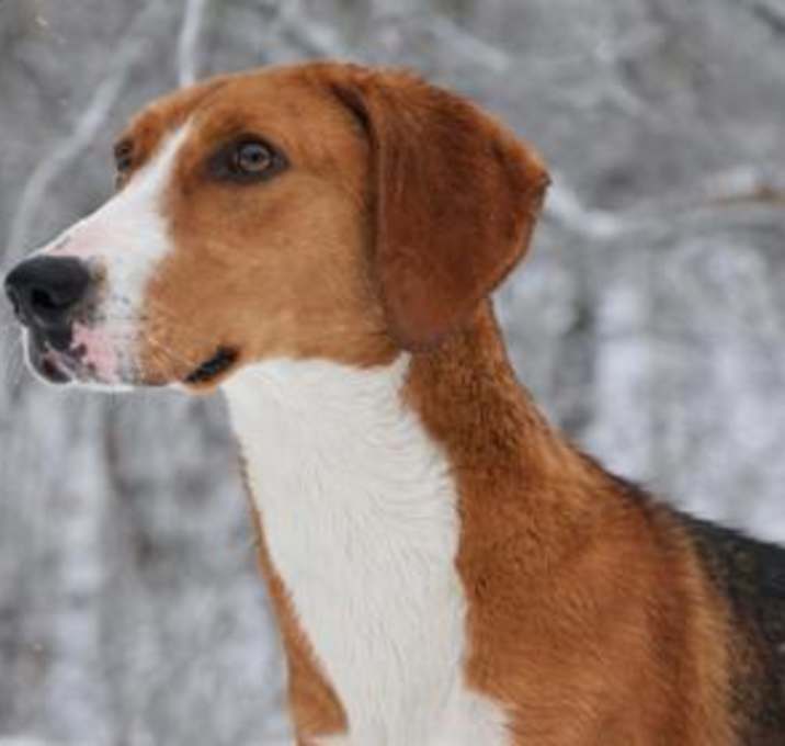 Photo of Miller-Kitchener