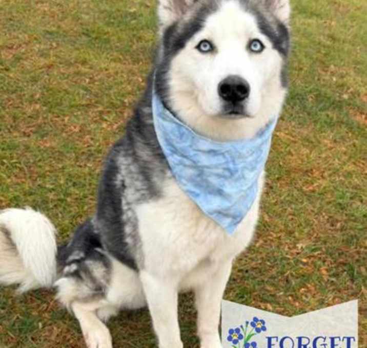 Photo of On The Rocks