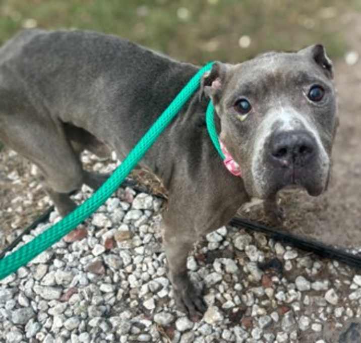 Photo of Smokey Bones