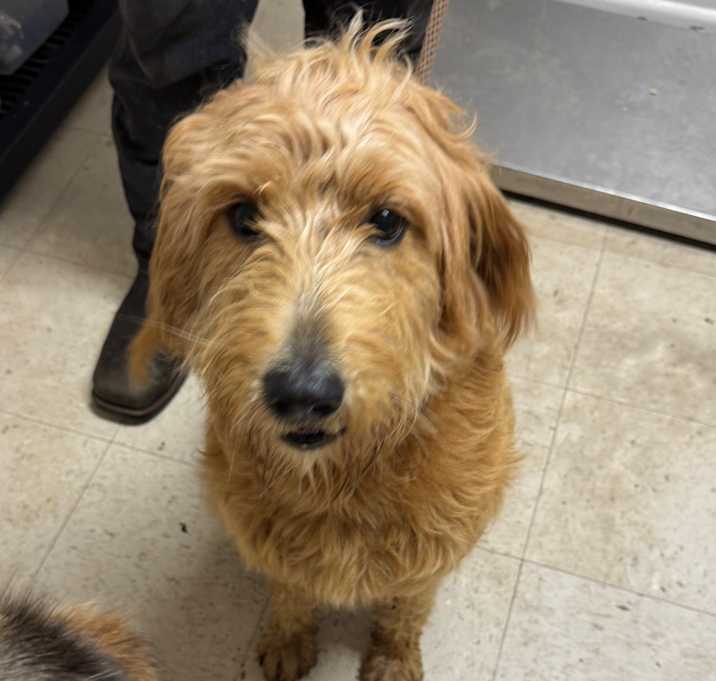 Photo of Poofy Pants Penny