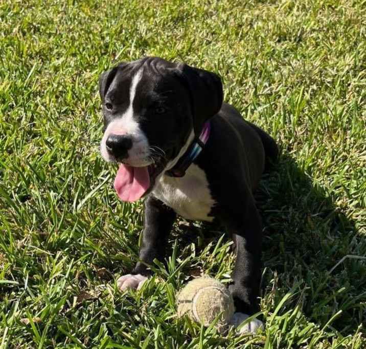 Photo of Truffle Autumn Vibe