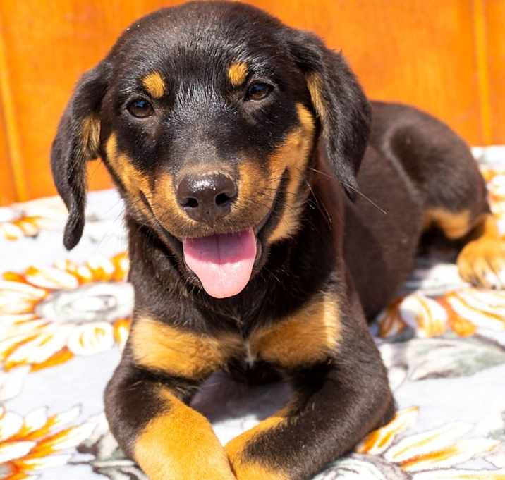 Photo of Quinn Anderson