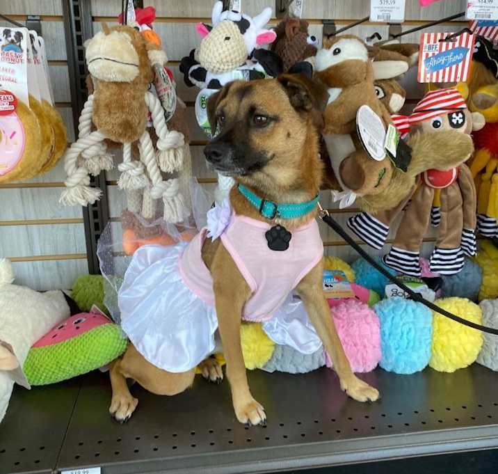 Photo of Princess Peaches