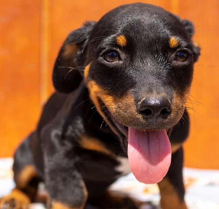 Photo of Case Anderson