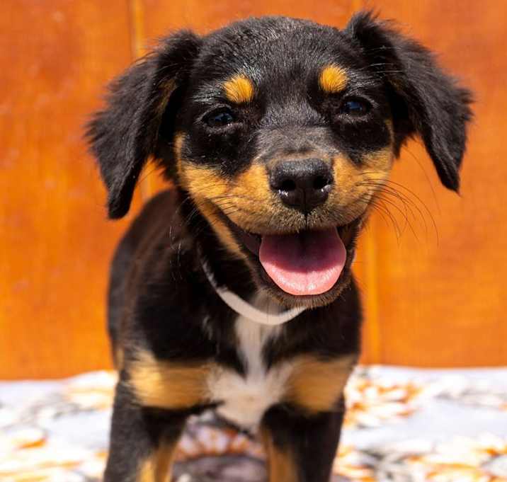 Photo of Angie Anderson