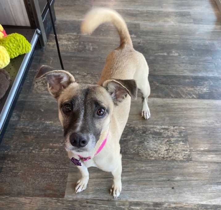 Photo of Princess Sunshine