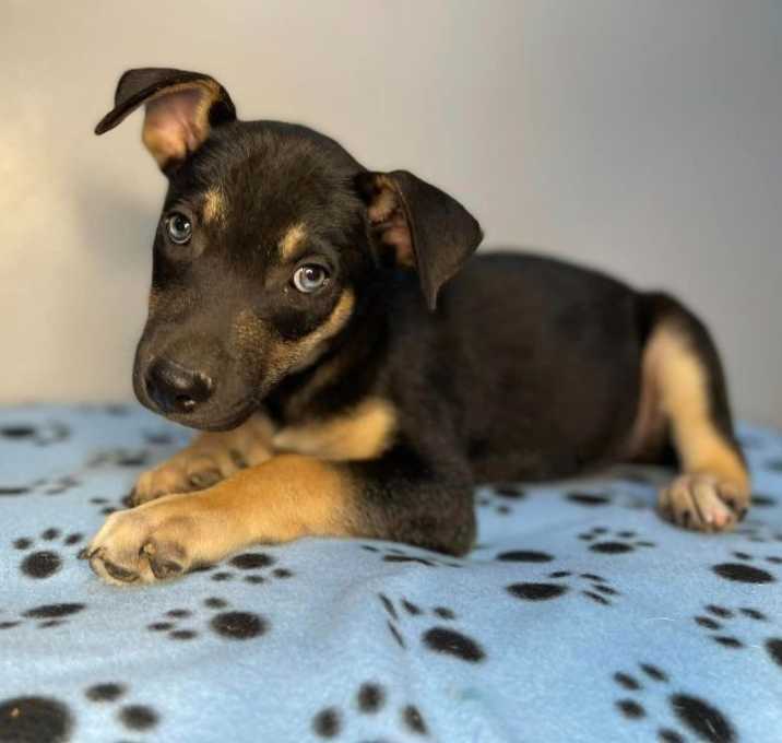 Photo of North Carolina Beauty