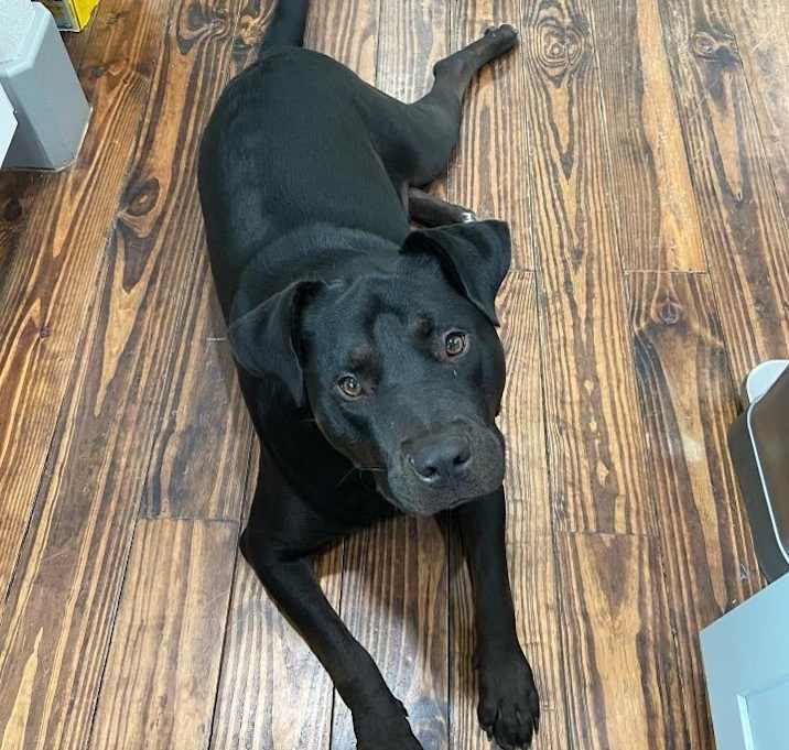 Photo of Duckie Casey