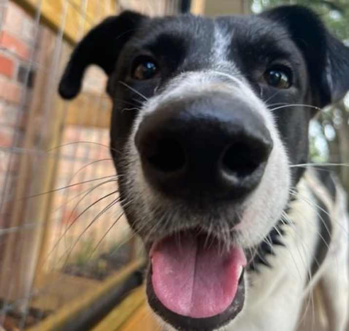 Photo of Josh Jackson