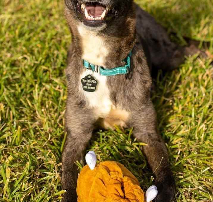 Photo of Glad Gamora