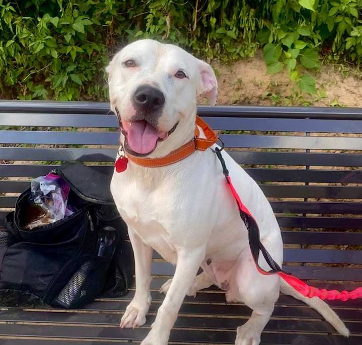 Photo of Bonnie Lynn (JMF)