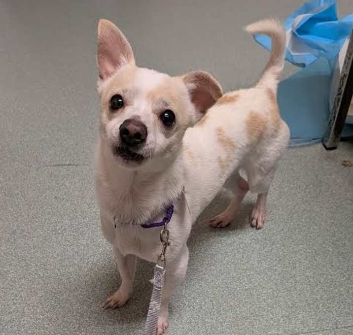 Photo of Cocoa - see my video!