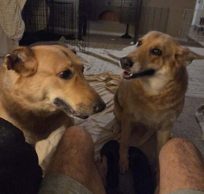 Photo of Mia and maxi