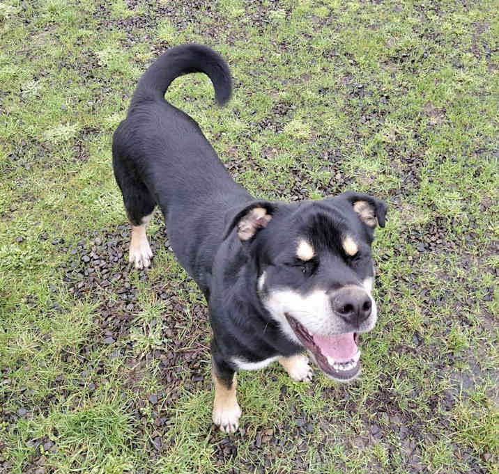 Photo of Mushu Russell