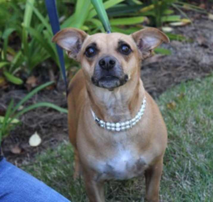 Photo of Vivienne James