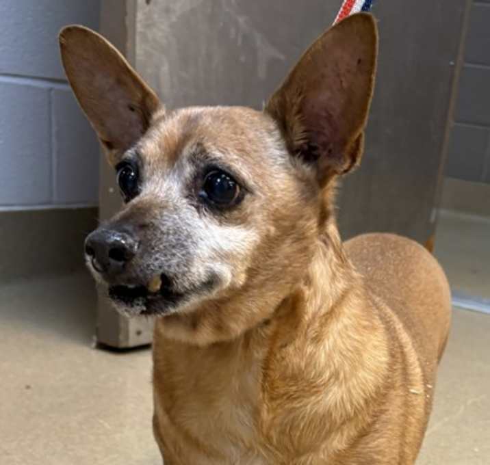 Photo of Lenny The Fireplace Supervisor