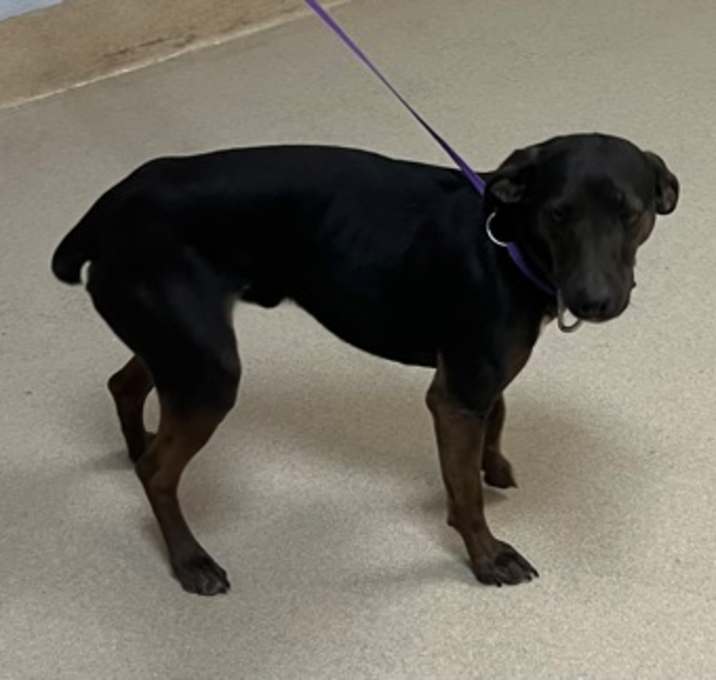 Photo of Raider 12/30/25