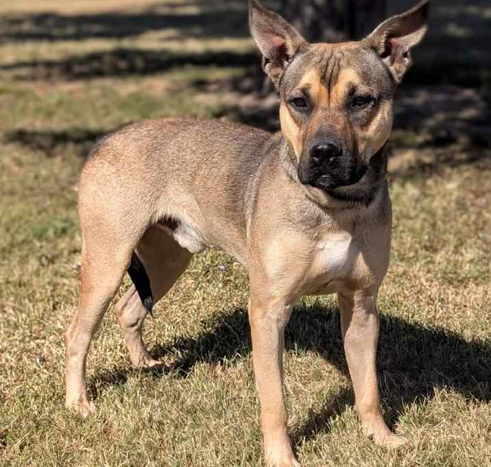 Photo of Buck Rogers