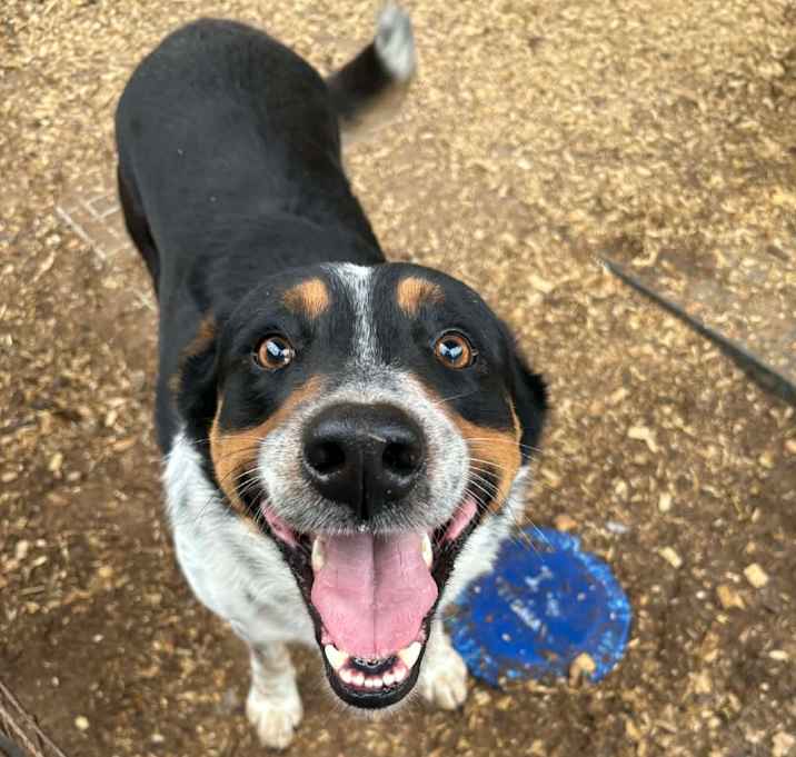 Photo of Howlywood Undead