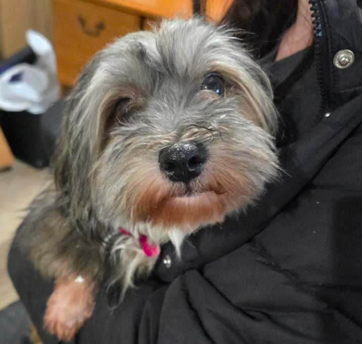 Photo of Autumn 10A- 14710