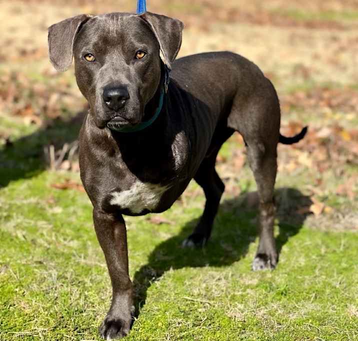 Photo of Smokey the Bear