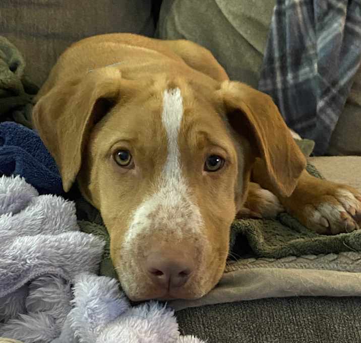 Photo of George Dean