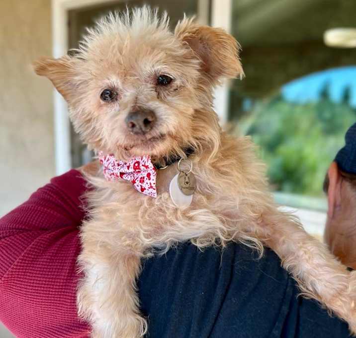 Photo of Freddie Weasley