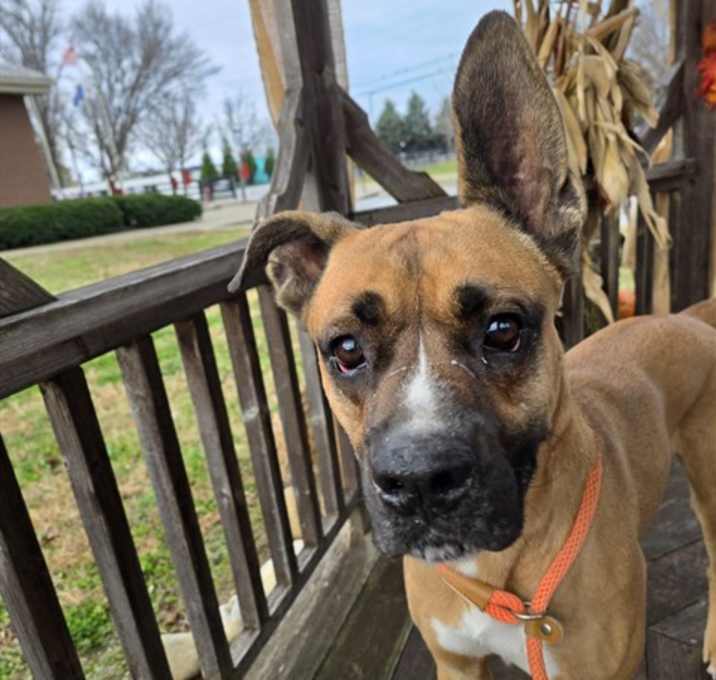 Photo of MOUTH FULLA GOLD