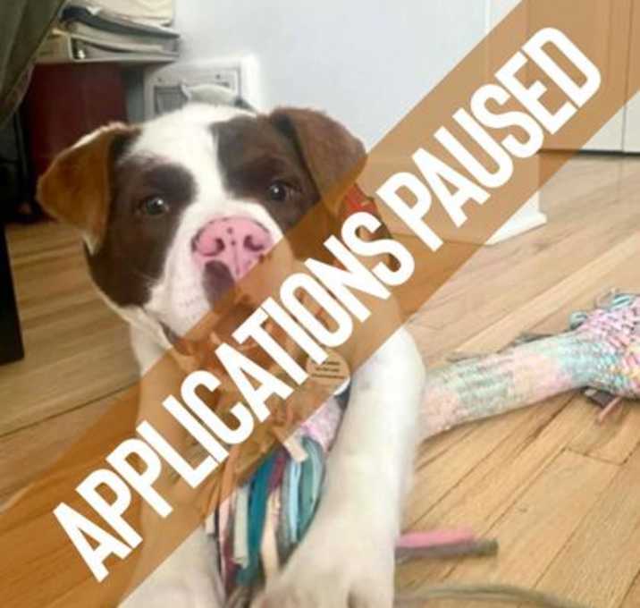 Photo of Kevin Bacon