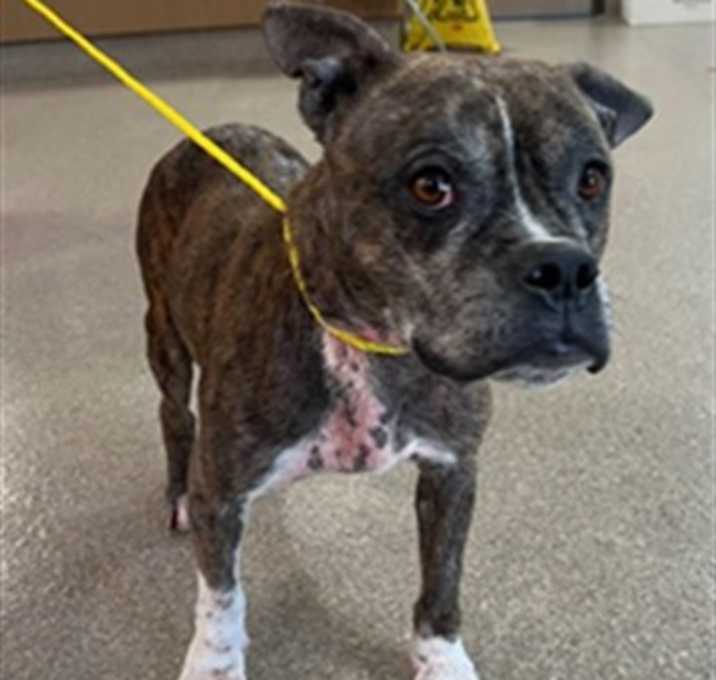 Photo of PEACHY KEEN