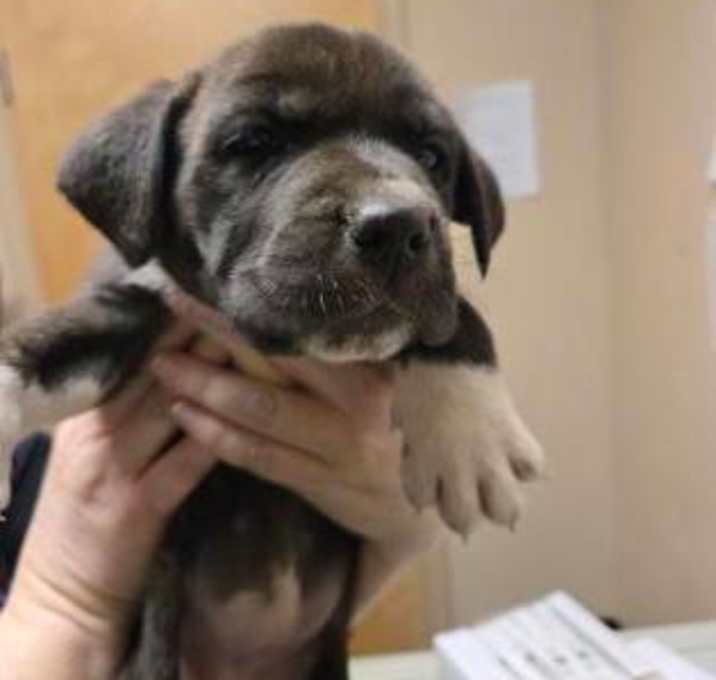 Photo of Wrapping Paper