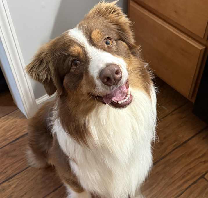 Photo of Axle “Ax”